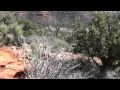 Bear Mountain Hike Descent (Part 6) Sedona Arizona