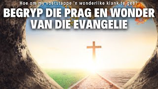 Begryp die prag en wonder van die Evangelie