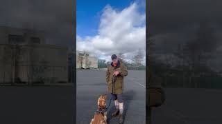 Relaxed Lead Walking Using Positive Reinforcement