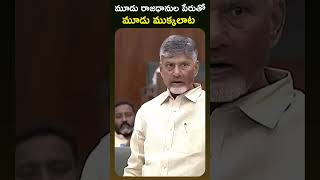 మూడు రాజధానుల పేరుతో మూడు ముక్కలాట ఆడారు #APBudgetSession2024 #APAssembly  #ChandrababuNaidu