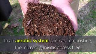Aerobic Digestion and Anaerobic Digestion Compared and the Important Differences Explained