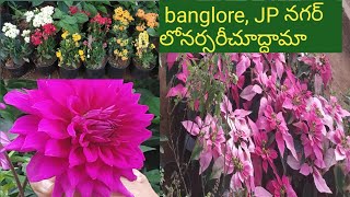 99 - Banglorelo, J P నగర్లో వున్న Muniraj నర్సరీ చూసొద్దాం.