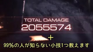 Over 2000000 damage ＋小技　ストンプキャンセル【FF16】