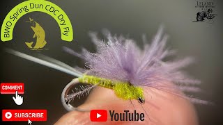 Blue Winged Olive Dry Fly CDC Spring Dun