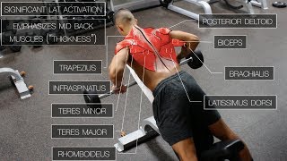 The Best Science-Based Back Workout (TARGET EVERY MUSCLE!)