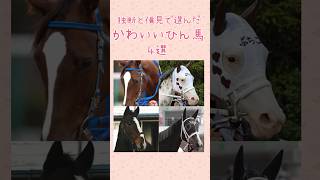 独断と偏見で決めたかわいい牝馬4選  #shorts  #競馬 #ウマ娘