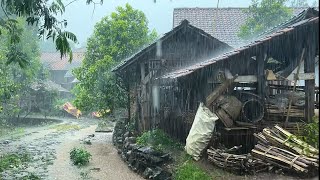 🔴LIVE Heavy rain in beautiful village||indoculture