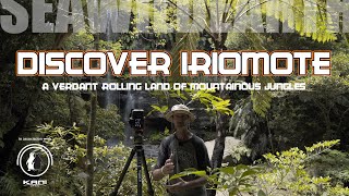 Wildlife and Waterfalls - Iriomote Island