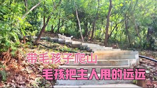 萌宠探秘：好不容易找到不一样的公园，最后遗憾而归（第264集）#萌寵