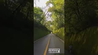 [Drive] Danyang Moss Tunnel Drive