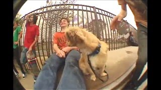 Skatepark Round-Up - Slave