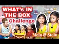 What’s In The Box Challenge With @likemelaandstela9694 | Melason Family Vlog