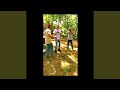 Where the Tree Falls (Radio Edit)
