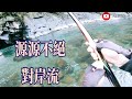 釣魚狂人4k紀錄片 新鮮溪香魚 ，無骨香煎，化骨酥，現點現釣，友釣好吃好玩，加入放流捐款指定位置 stream fishing taiwan