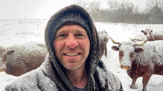 The Real Cost of Windchill #regenerativeagriculture