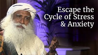 How to Escape the Cycle of Stress, Anxiety and Misery? - Sadhguru