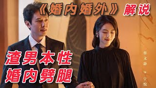 一口气看完【婚内婚外】女人结婚多年不让丈夫碰，丈夫有口难言，调查后发现妻子惊天大瓜 #全集解说#都市爱情电视剧#电视剧解说#冯绍峰#蔡文静