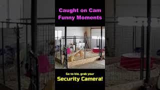 Mysterious Things Caught On Camera In Church #Short