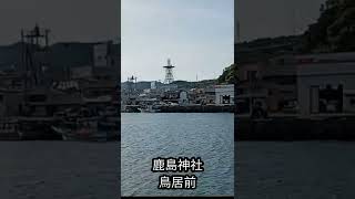 土佐清水市 鹿島神社の鳥居前　#Shorts