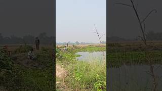 Desi fishing video