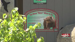 SOAR program helps Sioux Falls businesses reopen