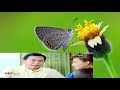 ល្បិចបញ្ឆោតស្នេហ៍ ep8.7