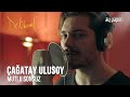 Delibal | Çağatay Ulusoy - Mutlu Sonsuz