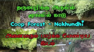 தர்மபுரிக்கு அருகில் மூங்கில் காடு | Coop forest |  Best place to Visit