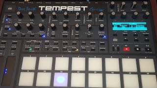 Dave Smith Tempest 808 Style Snare Tutorial