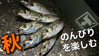 のんびり秋を感じて釣りを楽しむ【アジング】