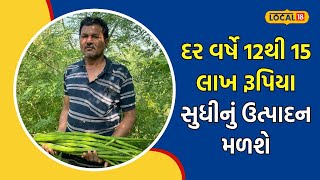 Botad | આ ખેડૂતે કરી ઓર્ગેનિક સરગવાની ખેતી, ઓછા ખર્ચે કરશે લાખોની કમાણી | #local18