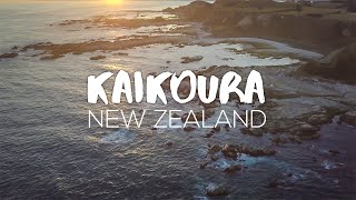 Exploring Kaikoura // New Zealand