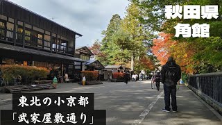 【秋田県】　紅葉の角館【武家屋敷通り】を歩く#秋の遠足動画🚶‍♂️