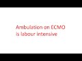 what is awake ecmo