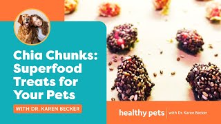 Chia Chunks: Superfood Treats for Your Pets