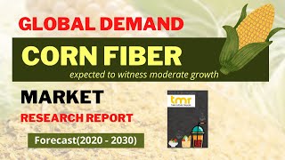 CORN FIBRE GLOBAL DEMAND AND GROWTH OPPORTUNITY - Market Analysis, 2031