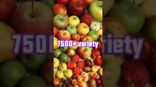 Apple ல இத்தனை Variety இருக்கா🤯💥_facts in tamil_minutes mystery_#shorts