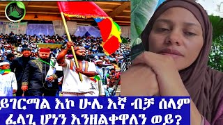 እነሱ እንይ ፈልጉትን ሰላም እኛ ብቻ ሰላም ለማኝ ሆነን መዝለቅ ይከብዳል