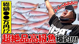 【船釣り】大阪湾で幻の高級魚シロアマダイを爆釣！！