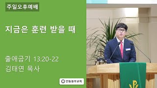 2023.12. 17. | 지금은 훈련 받을 때 | 김태연 목사 | 안동동부교회 주일 오후 찬양예배