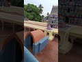 sree brahmapureeswarar temple and thoniappar temple sirkazhi topview topviewshorts viral shorts