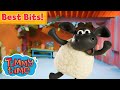 2️⃣ The BEST of Timmy Time 🐱 Compilation #preschool