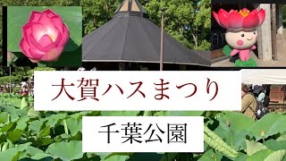 【大賀ハス祭り】千葉公園　イベント2023.6.17