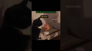 How She Provokes Me (The Unseen Footage)
