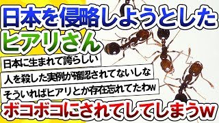 【2ch動物スレ】日本を侵略しようとしたヒアリ、日本の在来種にボコボコにされて涙目敗走してしまうｗｗ