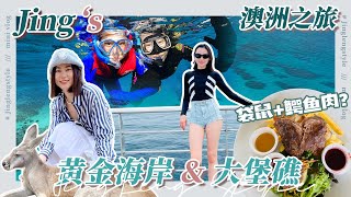 【不冷静澳洲Vlog下】上天下海吃吃买买 | 黄金海岸\u0026大堡礁 Australia Trip