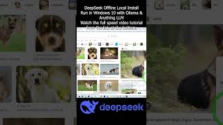 DeepSeek Offline Local Install Run in Windows 10 with Ollama \u0026 Anything LLM #deepseek #offline #AI