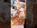 They're so cute 🥰🥰🥰#newbornbaby #shortvideos #babysworld