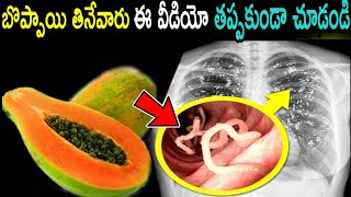 బొప్పాయి తినే ప్రతి ఒక్కరూ ఈ వీడియో తప్పకుండా చూడండి..లేదంటే డేంజర్ papaya benifits \u0026 side-effects