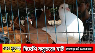 বিদেশি কবুতরের দাম 🕊️ Pigeon price in bd | জয়পাড়া হাট দোহার ঢাকা | fancy pigeon price in bangladesh